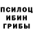 Галлюциногенные грибы Magic Shrooms Davud Kitsay