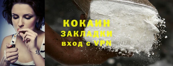 сатива Арсеньев