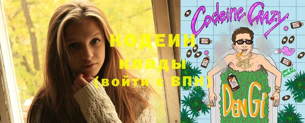 индика Армянск