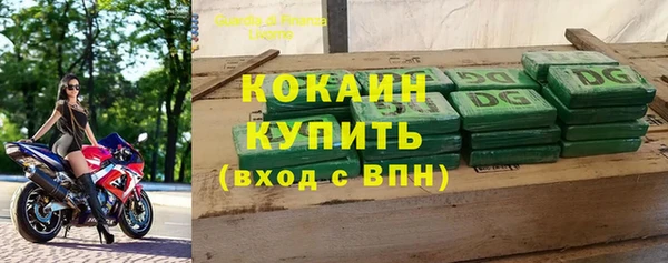 индика Армянск