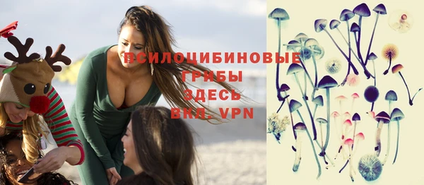 индика Армянск