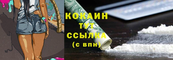 дмт Аркадак