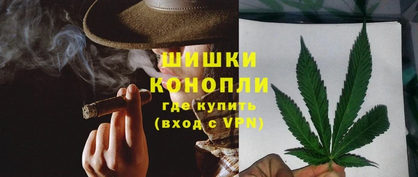 сатива Арсеньев